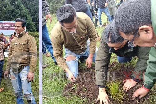 Plantar 80 mil arbolitos, la meta del alcalde de Jilotzingo